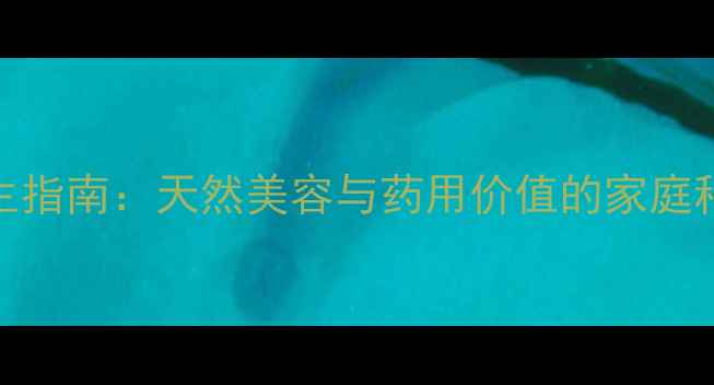 凤仙花养生指南天然美容与药用价值的家庭种植全攻略