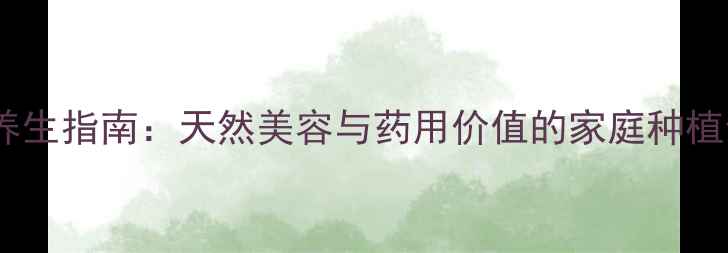 图片 凤仙花养生指南：天然美容与药用价值的家庭种植全攻略1