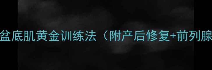 凯格尔运动盆底肌黄金训练法附产后修复前列腺保养全攻略