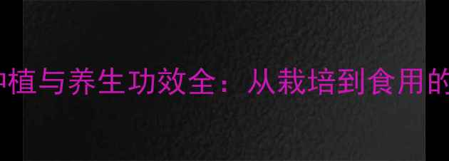 刺玫瑰花种植与养生功效全从栽培到食用的健康指南