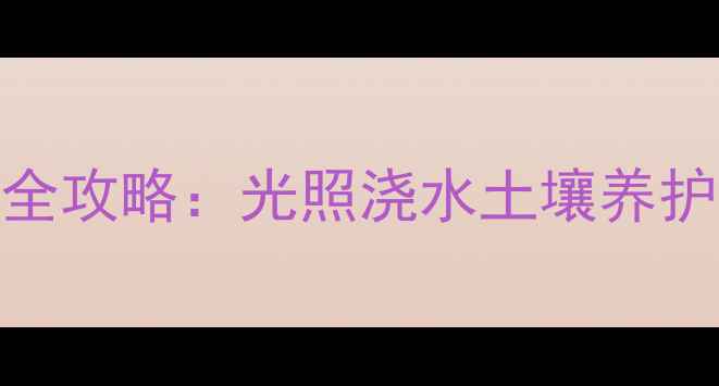 勿忘我家庭盆栽全攻略光照浇水土壤养护技巧药用价值