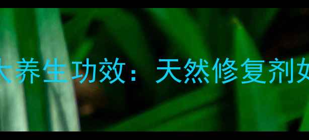医用几丁糖的7大养生功效天然修复剂如何守护健康