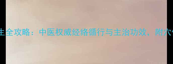 十二经络养生全攻略中医权威经络循行与主治功效附穴位按摩图解