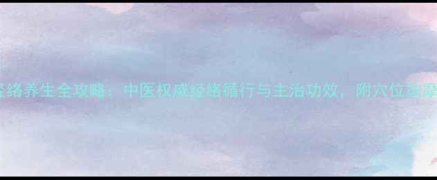 图片 十二经络养生全攻略：中医权威经络循行与主治功效，附穴位按摩图解2