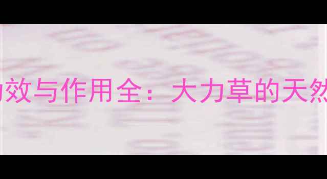 十大养生功效与作用全大力草的天然健康密码