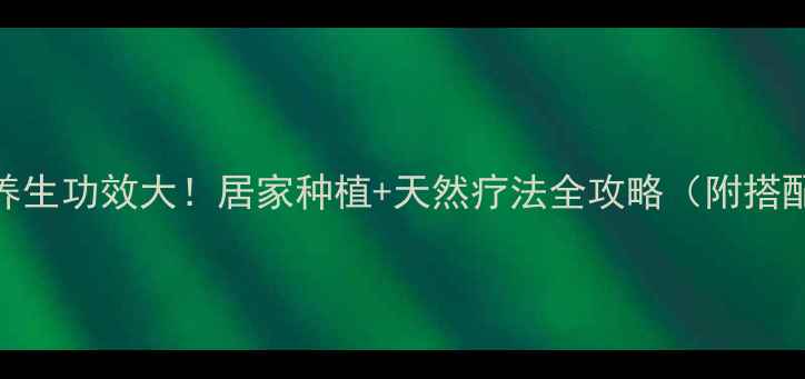 千日红养生功效大居家种植天然疗法全攻略附搭配禁忌