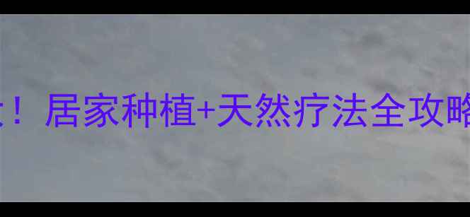 图片 千日红养生功效大！居家种植+天然疗法全攻略（附搭配禁忌）2