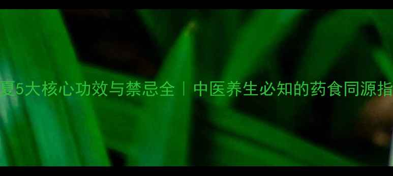 图片 半夏5大核心功效与禁忌全｜中医养生必知的药食同源指南