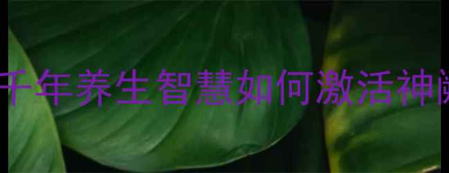 南怀瑾肚脐贴配方千年养生智慧如何激活神阙穴的五大核心功效