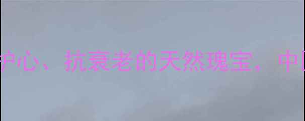 南方红豆杉的养生功效大抗癌护心抗衰老的天然瑰宝中医千年验方与现代研究的双重认证