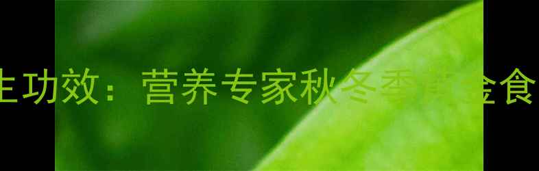 南瓜的10大养生功效营养专家秋冬季黄金食材的保健密码