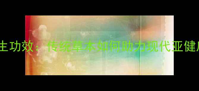 博合草养生功效传统草本如何助力现代亚健康调理