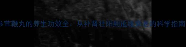 参茸鞭丸的养生功效全从补肾壮阳到延缓衰老的科学指南