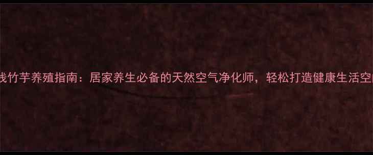 图片 双线竹芋养殖指南：居家养生必备的天然空气净化师，轻松打造健康生活空间2