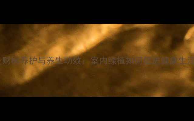 发财树养护与养生功效室内绿植如何促进健康生活