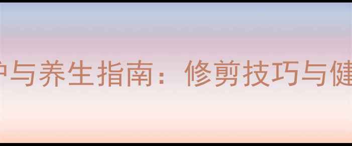 发财树养护与养生指南修剪技巧与健康风水全