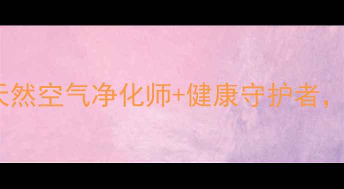 图片 吊兰的养生功效大：天然空气净化师+健康守护者，居家必备的绿植指南1