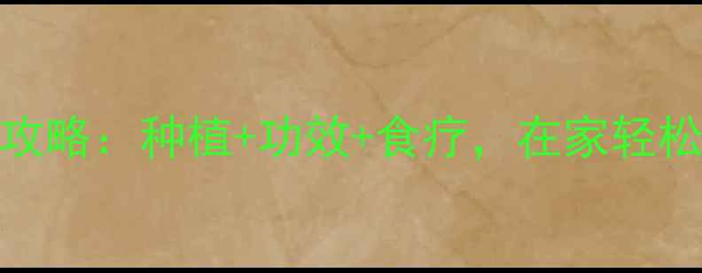 吊草养生全攻略种植功效食疗在家轻松养出健康草