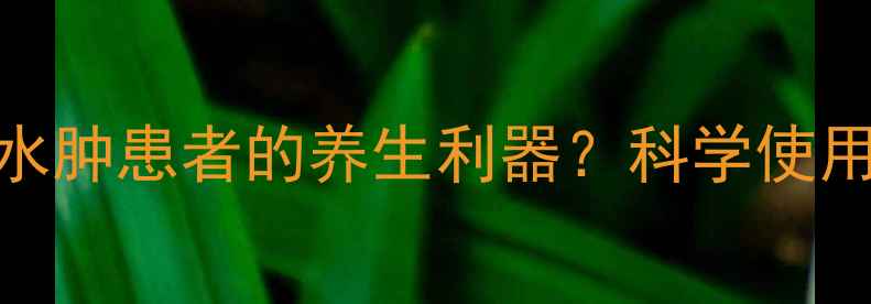 呋塞米片高血压水肿患者的养生利器科学使用指南与注意事项全