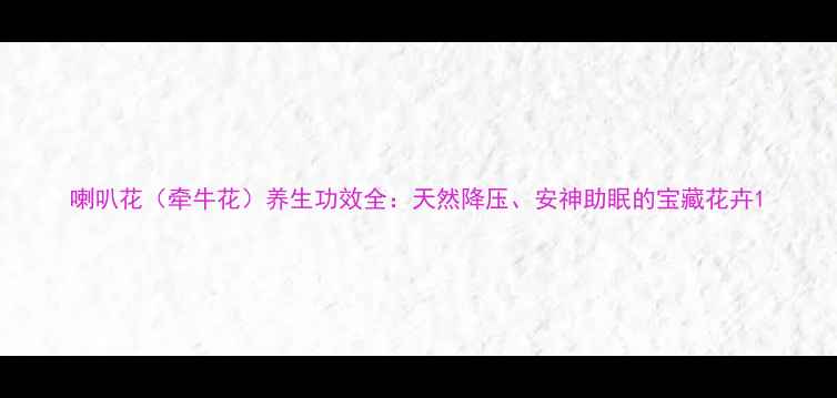 喇叭花牵牛花养生功效全天然降压安神助眠的宝藏花卉