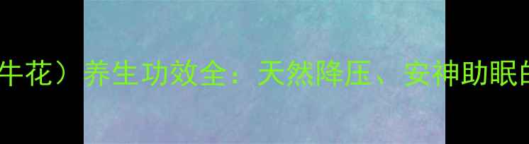 图片 喇叭花（牵牛花）养生功效全：天然降压、安神助眠的宝藏花卉2