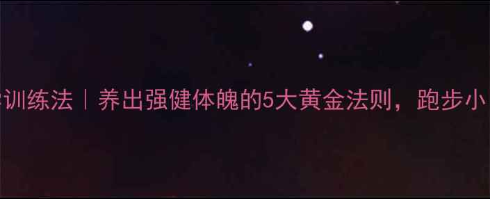 四百米科学训练法养出强健体魄的5大黄金法则跑步小白也能逆袭