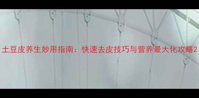 土豆皮养生妙用指南快速去皮技巧与营养最大化攻略