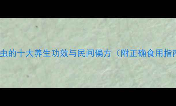 图片 土鳖虫的十大养生功效与民间偏方（附正确食用指南）2