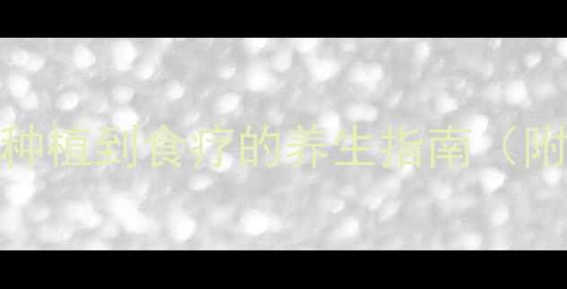 地瓜种植全攻略从种植到食疗的养生指南附种植时间表与营养