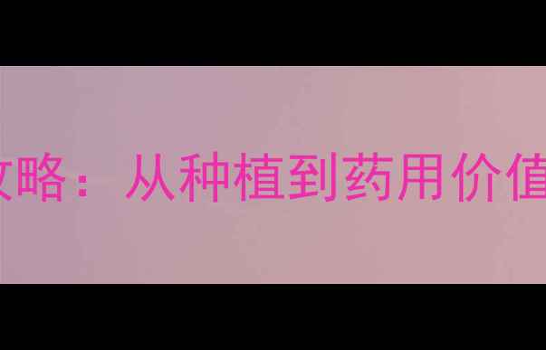 图片 夏鹃家庭养生养殖全攻略：从种植到药用价值（附120天养护日历）