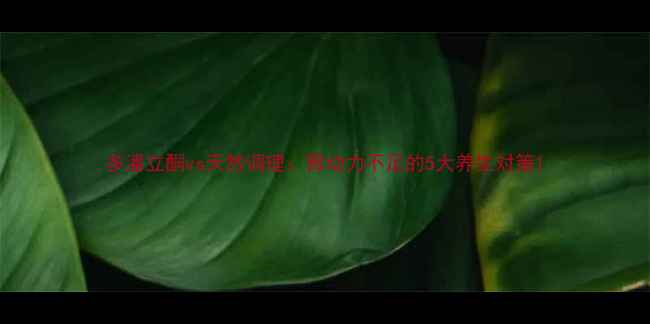 图片 多潘立酮vs天然调理：胃动力不足的5大养生对策1