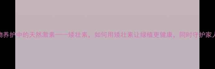 多肉植物养护中的天然激素矮壮素如何用矮壮素让绿植更健康同时守护家人健康