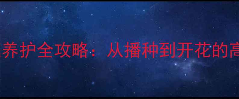 图片 多肉植物家庭养护全攻略：从播种到开花的高效管理指南1