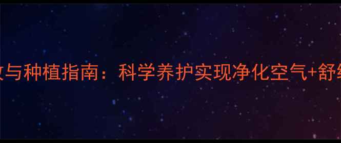 多肉花养生功效与种植指南科学养护实现净化空气舒缓压力双重价值