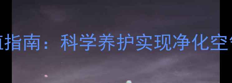 图片 多肉花养生功效与种植指南：科学养护实现净化空气+舒缓压力双重价值1