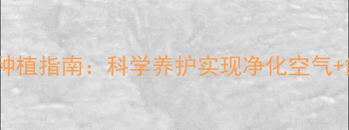 图片 多肉花养生功效与种植指南：科学养护实现净化空气+舒缓压力双重价值2