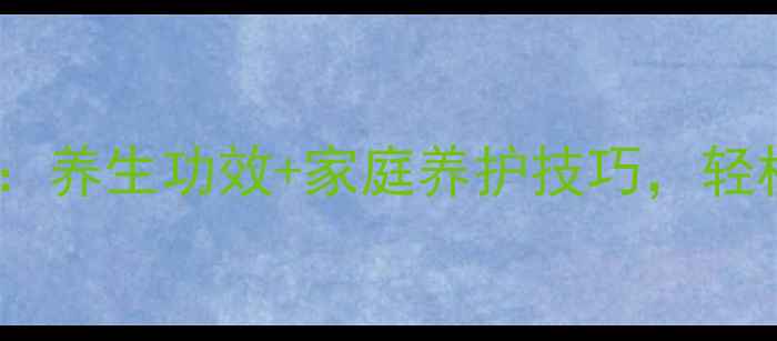 大叶伞种植全攻略养生功效家庭养护技巧轻松收获健康好食材