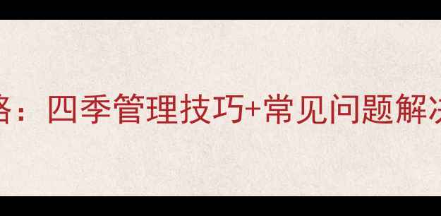 大叶绿萝家庭养护全攻略四季管理技巧常见问题解决方案附养护流程图