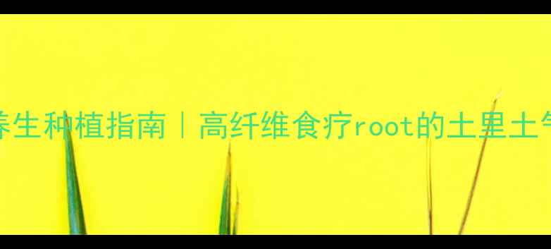 大和锦红薯的养生种植指南高纤维食疗root的土里土气的健康密码