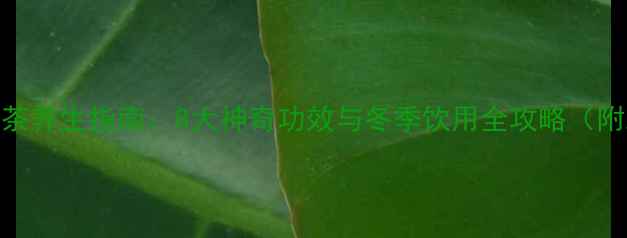 图片 天山雪莲花茶养生指南：8大神奇功效与冬季饮用全攻略（附冲泡禁忌）