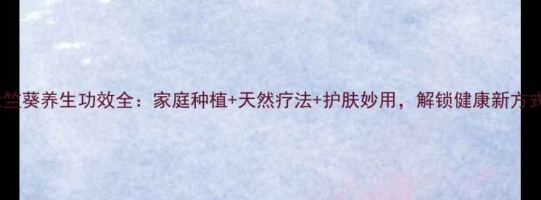 图片 天竺葵养生功效全：家庭种植+天然疗法+护肤妙用，解锁健康新方式1