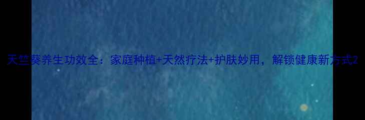 天竺葵养生功效全家庭种植天然疗法护肤妙用解锁健康新方式
