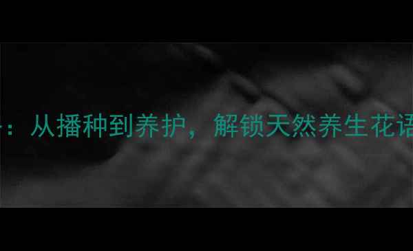 图片 太阳花种植全攻略：从播种到养护，解锁天然养生花语与家庭园艺疗法2