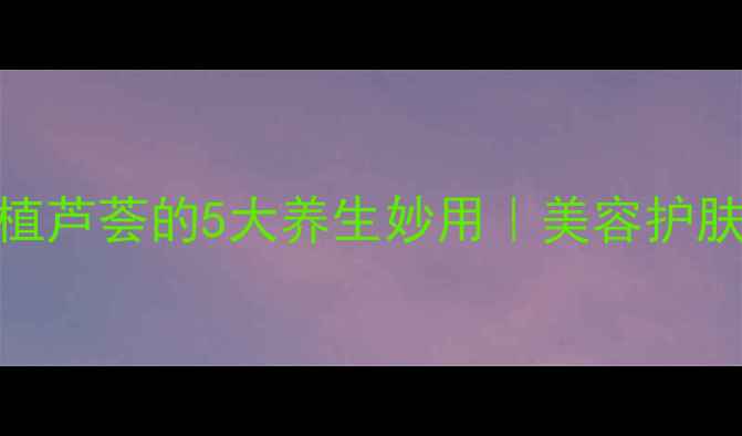 姐妹们今天要分享家庭种植芦荟的5大养生妙用美容护肤祛痘润肠附种植全攻略