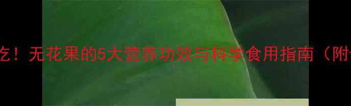 孕期必吃无花果的5大营养功效与科学食用指南附食谱