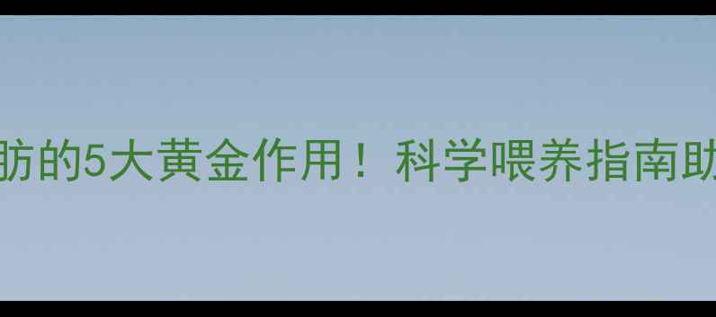 宝宝奶粉中脂肪的5大黄金作用科学喂养指南助宝宝健康成长