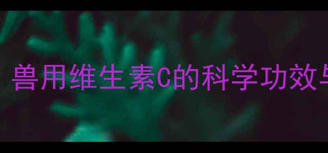 宠物保健必看兽用维生素C的科学功效与天然补充指南