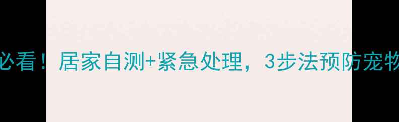 图片 宠物日常养护必看！居家自测+紧急处理，3步法预防宠物受伤必备指南