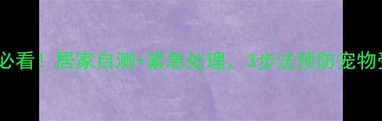 图片 宠物日常养护必看！居家自测+紧急处理，3步法预防宠物受伤必备指南1