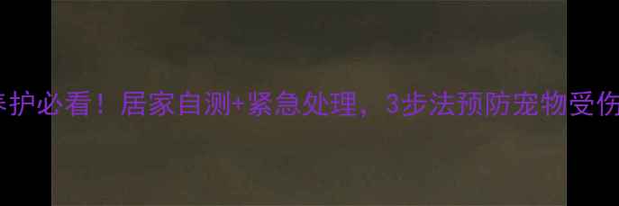 图片 宠物日常养护必看！居家自测+紧急处理，3步法预防宠物受伤必备指南2